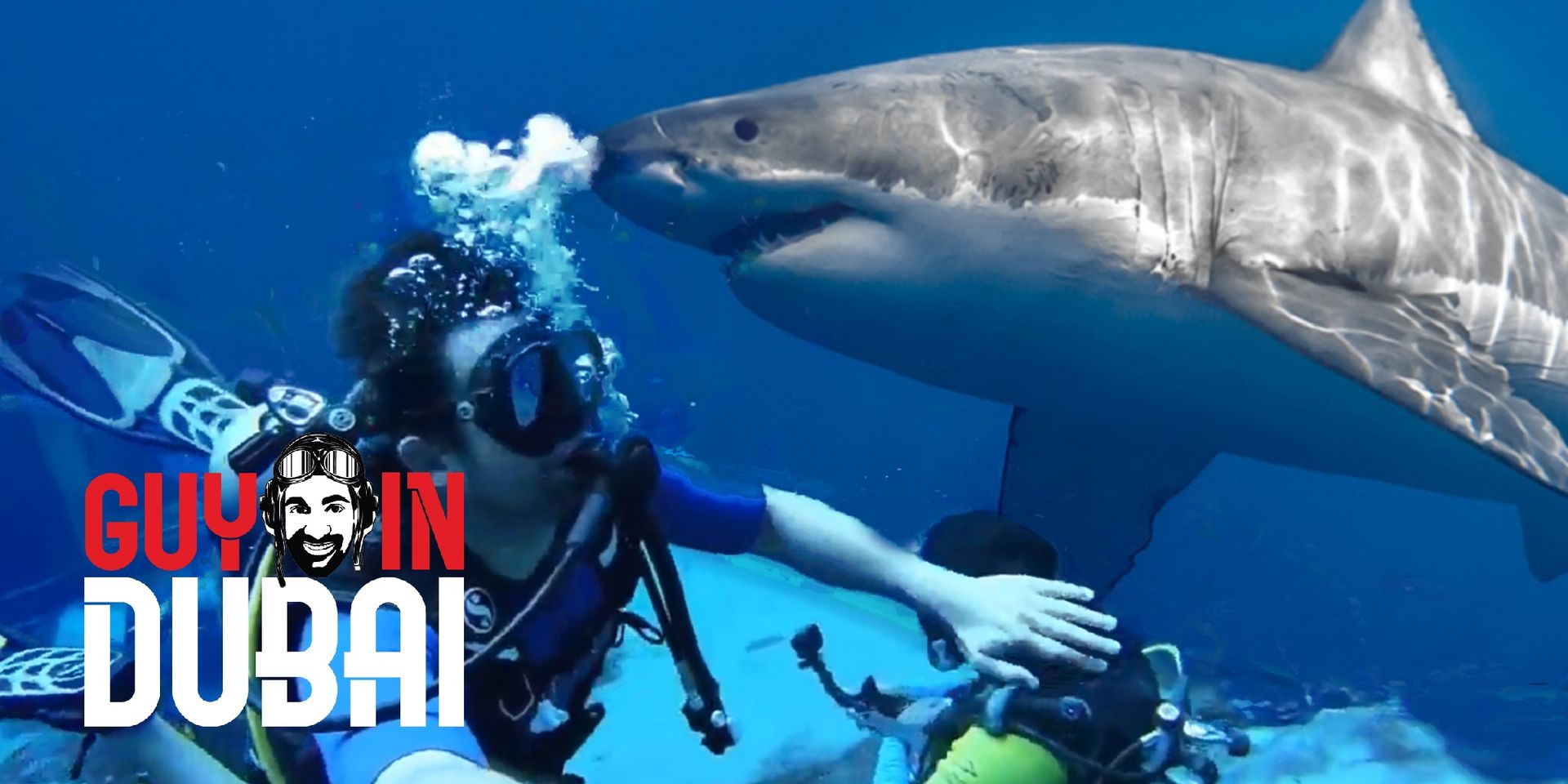 S1-E5: Shark Encounter on Shipwreck Dive