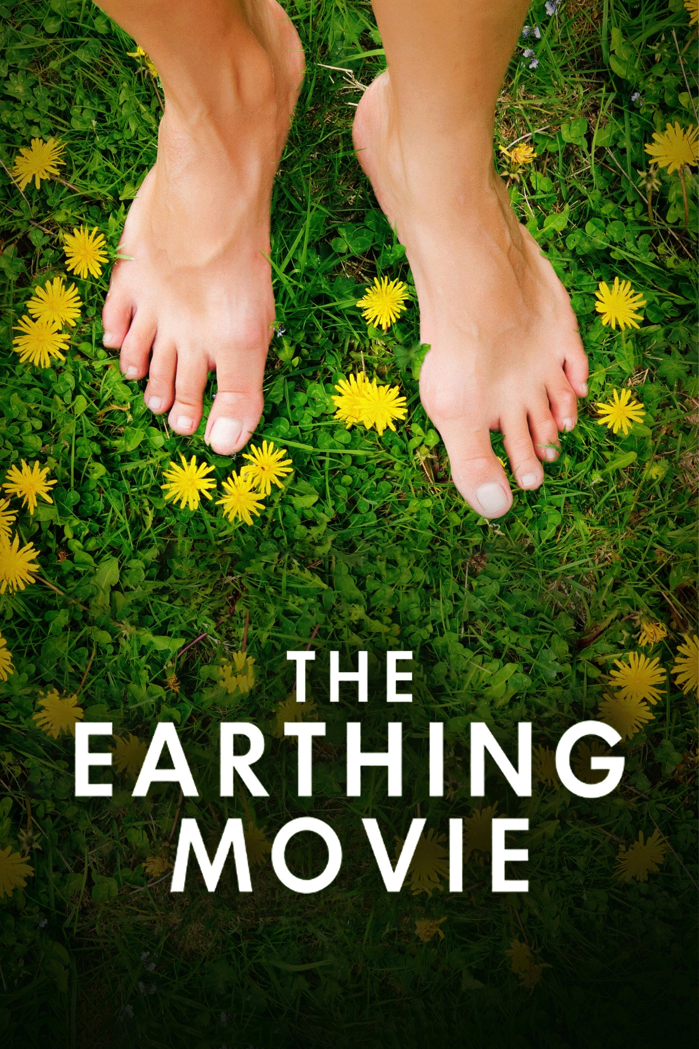 The Earthing Movie